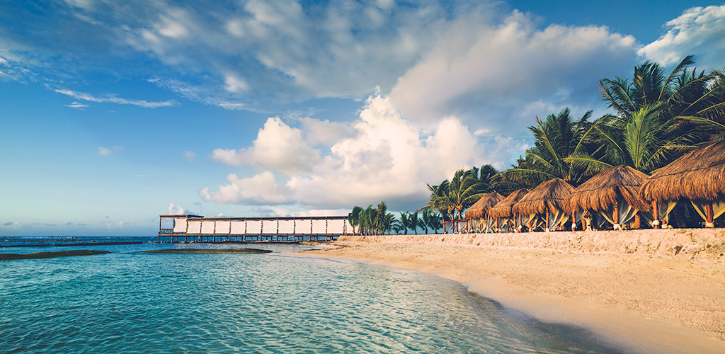 Luis Yama desarrollando